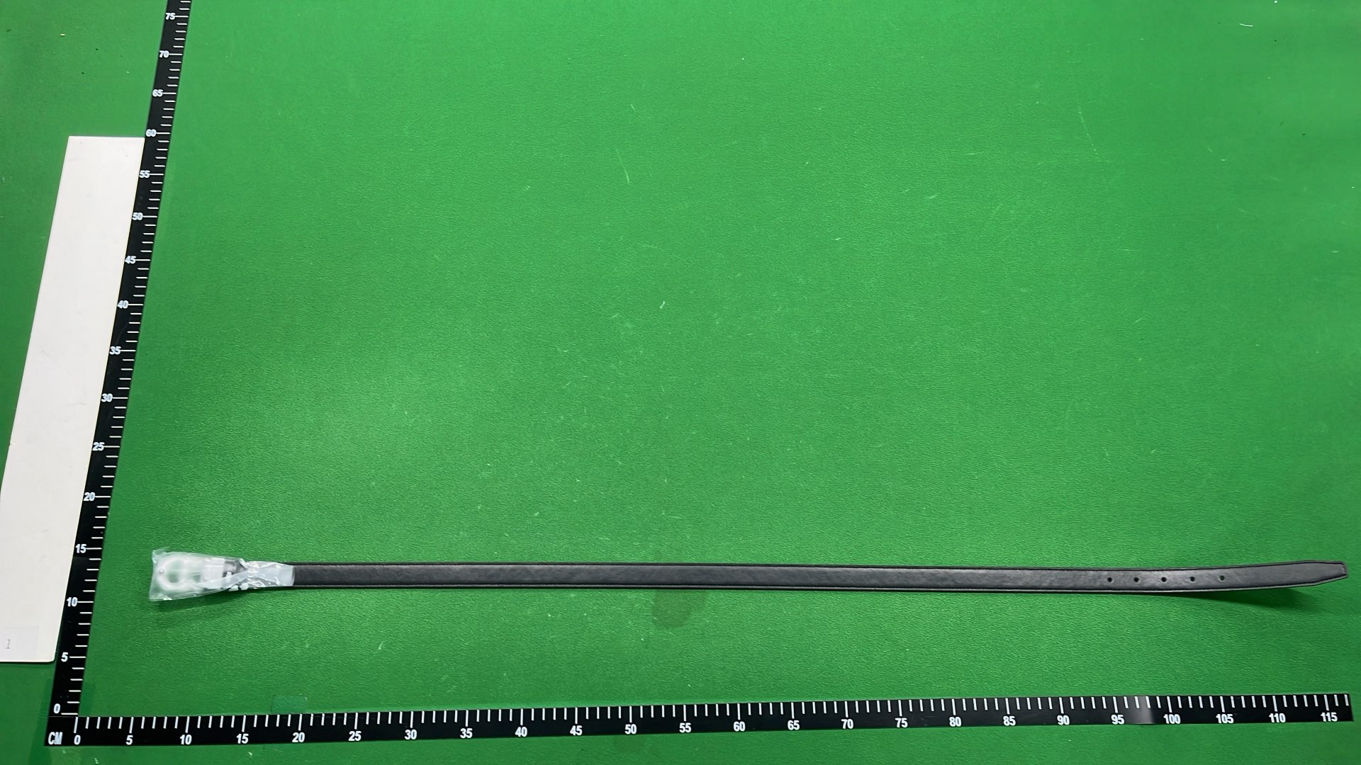 Dior Belt