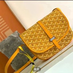 Go GOYARD bag